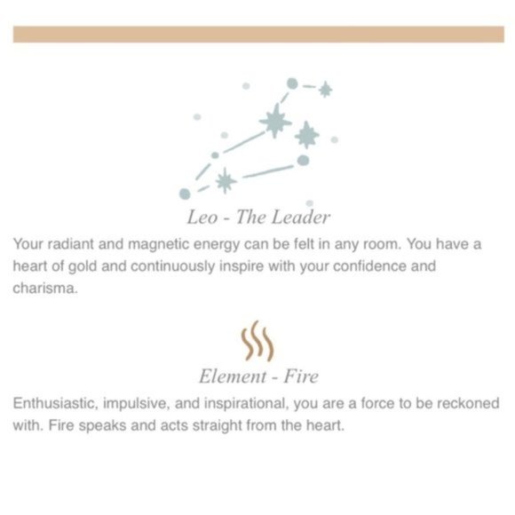 Leo Minimalist Zodiac Charm Oval Disc Necklace - Picture 5 of 11